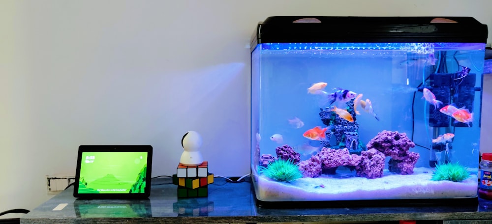 Acuario nano pequeño sobre un mueble