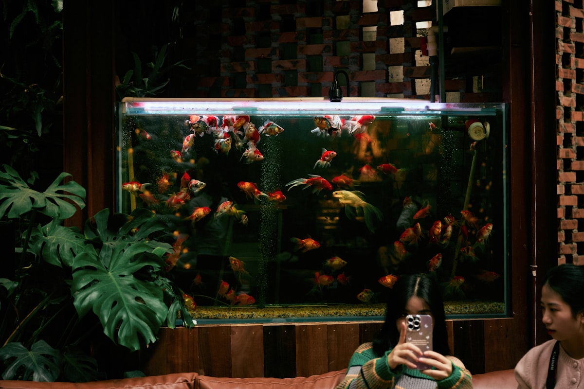 Acuario empotrado en pared como pieza arquitectónica