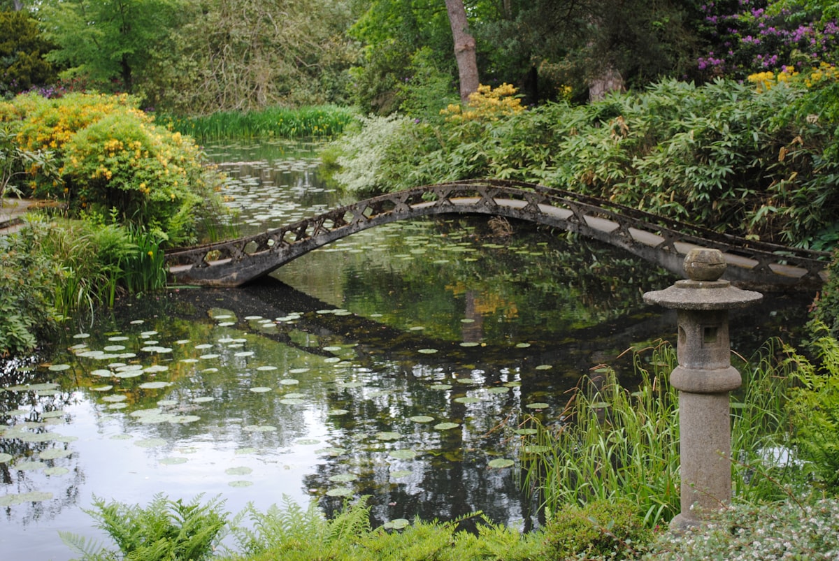 Estanque de agua natural integrado en jardín